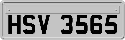 HSV3565