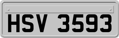 HSV3593