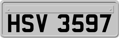 HSV3597