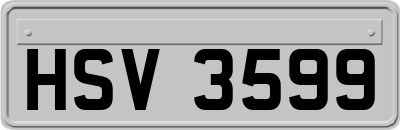 HSV3599