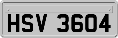 HSV3604