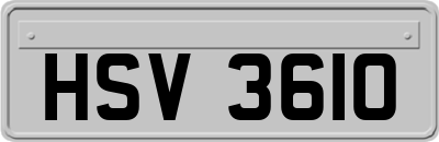 HSV3610