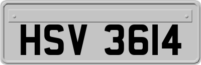 HSV3614