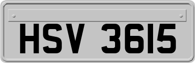 HSV3615