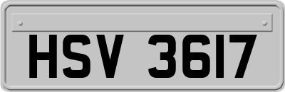 HSV3617