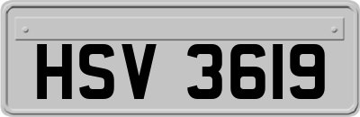 HSV3619