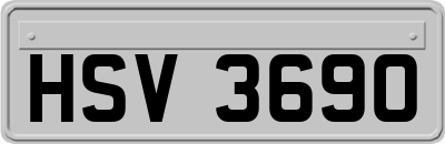 HSV3690