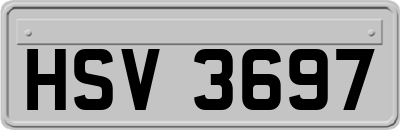 HSV3697