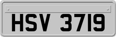 HSV3719