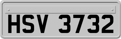 HSV3732