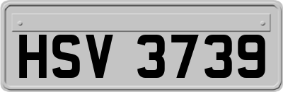 HSV3739