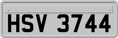 HSV3744