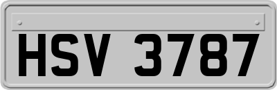 HSV3787