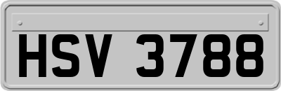 HSV3788