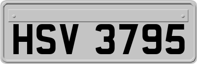 HSV3795