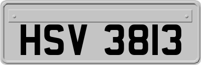 HSV3813