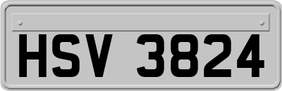 HSV3824