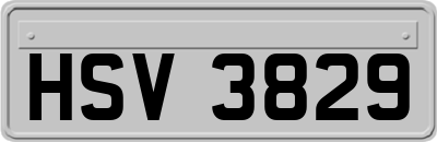 HSV3829