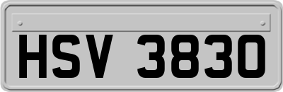 HSV3830