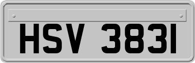HSV3831