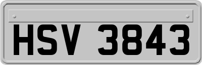 HSV3843