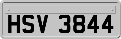 HSV3844