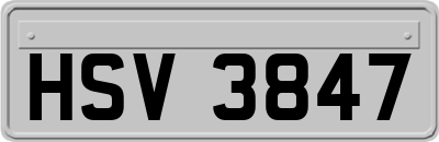 HSV3847