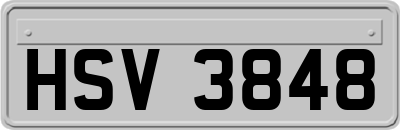 HSV3848