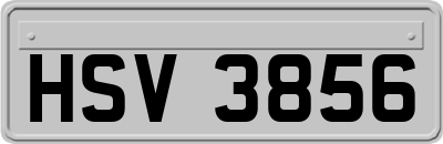 HSV3856