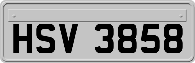 HSV3858