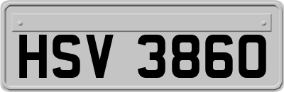HSV3860