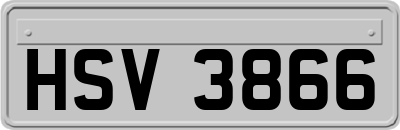 HSV3866