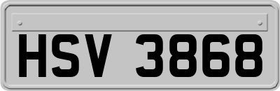 HSV3868