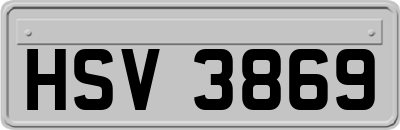 HSV3869