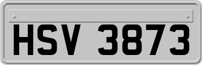 HSV3873