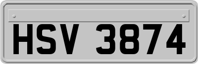 HSV3874