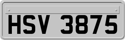 HSV3875