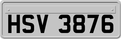HSV3876