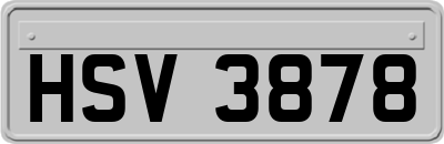 HSV3878