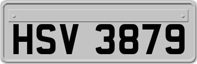HSV3879