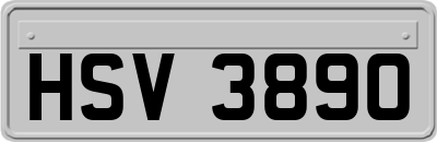 HSV3890