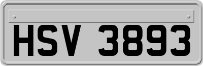 HSV3893