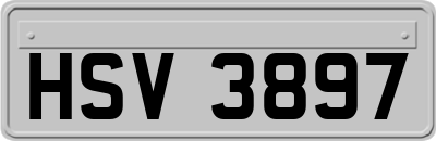 HSV3897