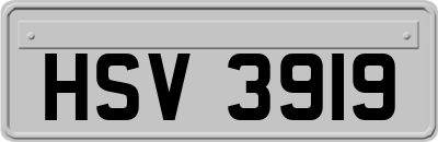 HSV3919