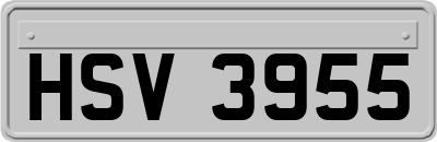 HSV3955