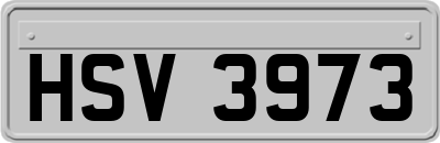 HSV3973