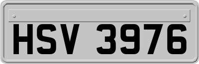 HSV3976