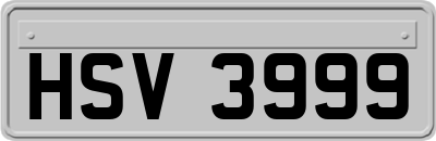 HSV3999