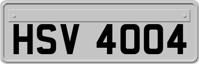 HSV4004