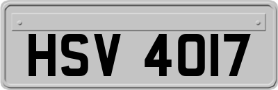 HSV4017